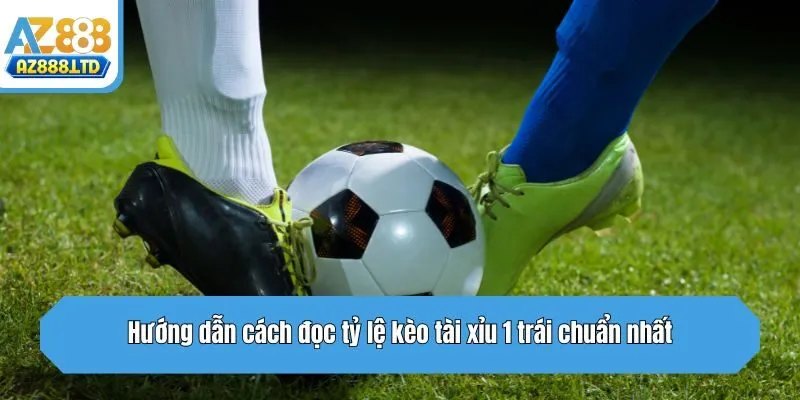 Hướng dẫn cách đọc tỷ lệ kèo tài xỉu 1 trái chuẩn nhất